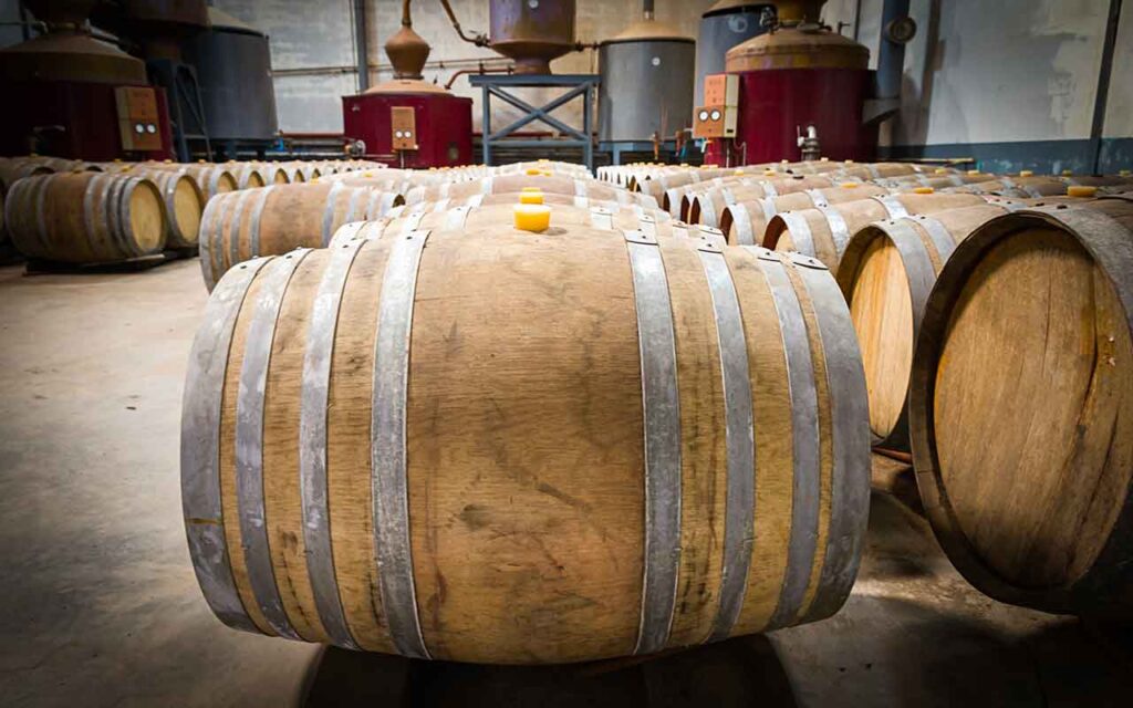 comprendre sur l’élevage du vin