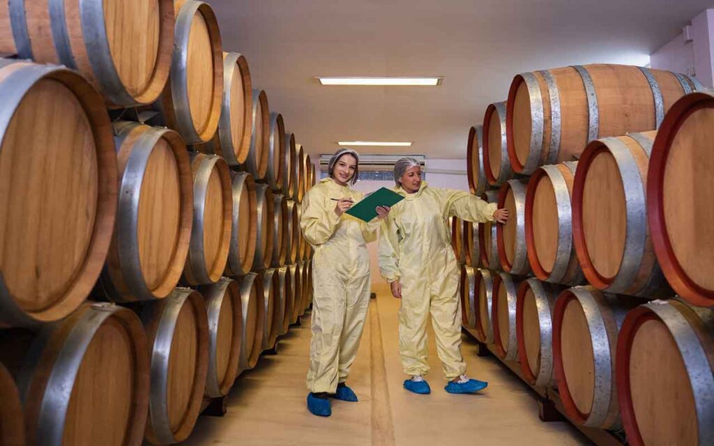 fabrication du vin en 7 étapes