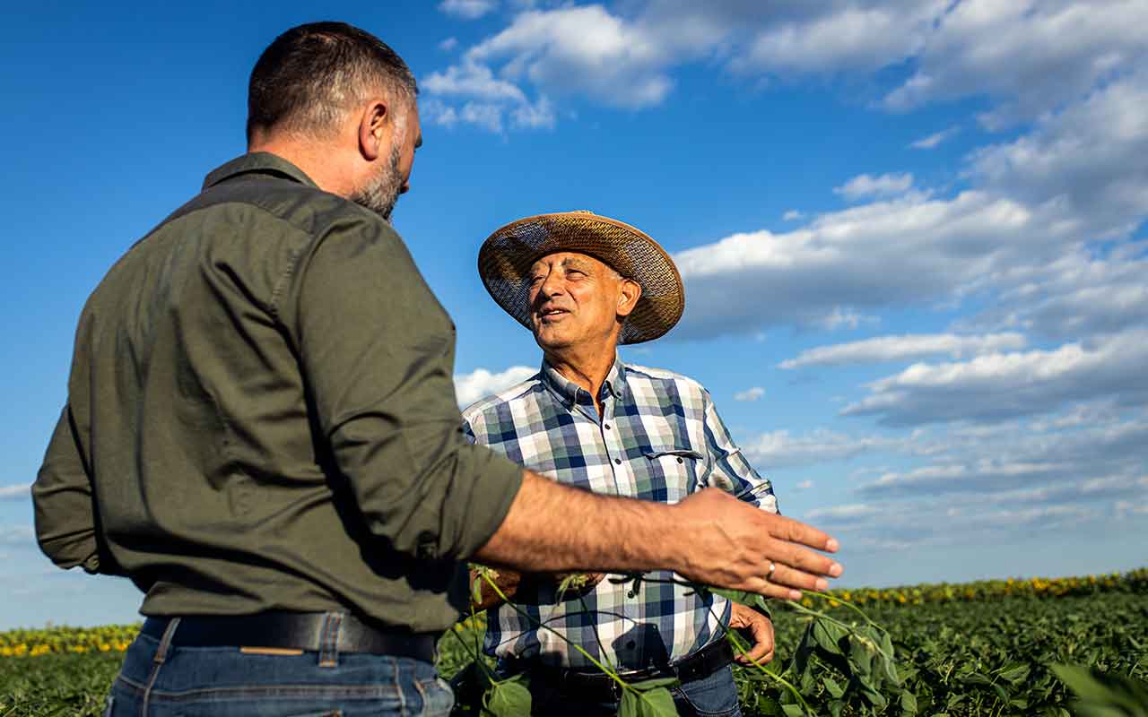 route-des-grands-crus-grands-vignobles-du-monde
