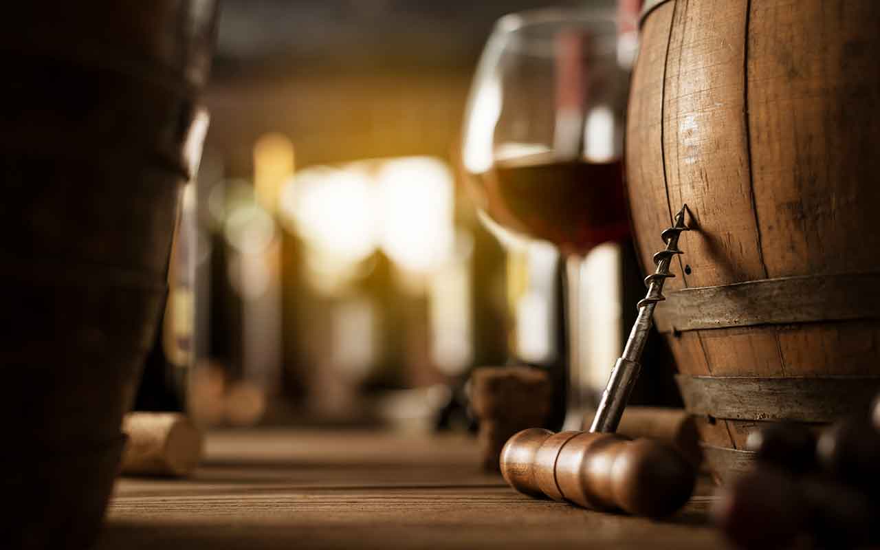 voyage sensoriel au cœur des vignes